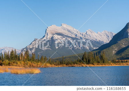 Banff National Park autumn foliage scenery. Alberta, Canada. Vermilion Lakes, Mount Rundle. Canadian Rockies. 116188655