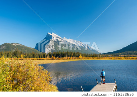 Banff National Park autumn foliage scenery. Alberta, Canada. Vermilion Lakes, Mount Rundle. Canadian Rockies. 116188656