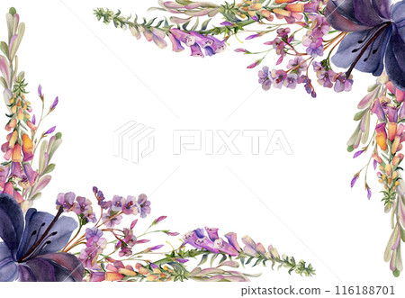 Hand drawn watercolor illustration botanical flowers leaves. Lily clivia amaryllis, foxglove snapdragon lupin, pink lobelia jasmine, willow eucalyptus. Corner frame isolated on white. Wedding, cards 116188701