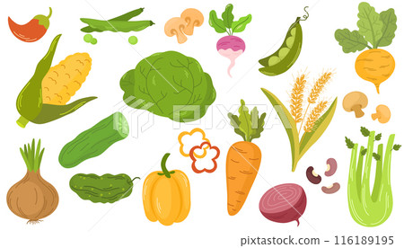 2089_vegetables_fresh 116189195