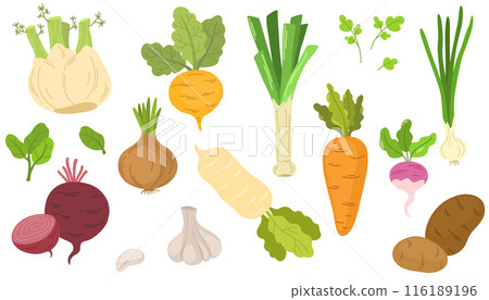 2088_vegetables_root 116189196