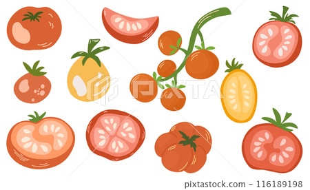 2084_tomato_set 116189198