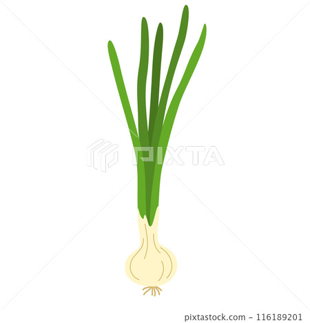 2086_ascallion 116189201