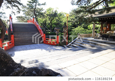 大阪市住吉大社境內風景 116189234