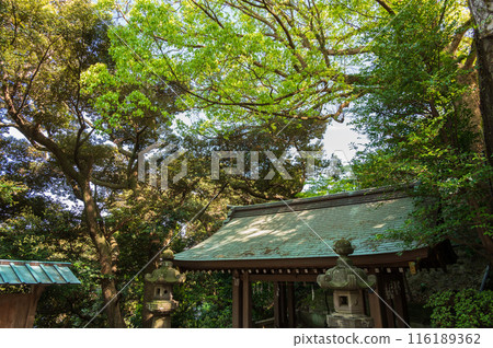 Enoshima Shrine: Chozuya surrounded by fresh greenery 116189362
