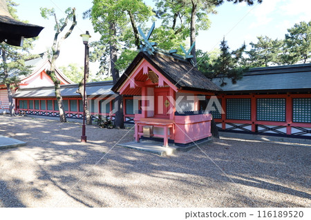 A view of the grounds of Sumiyoshi Taisha Shrine in Osaka City A view of the grounds of Sumiyoshi Taisha Shrine in Osaka City 116189520