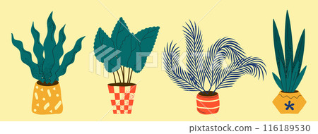 Botanical plant illustrations in decorative pots Botanical plant illustrations in decorative pots 116189530