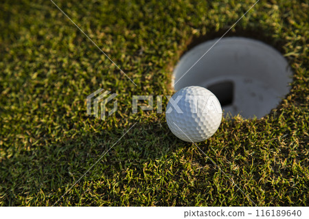 Closeup Golf ball on green grass on course 116189640