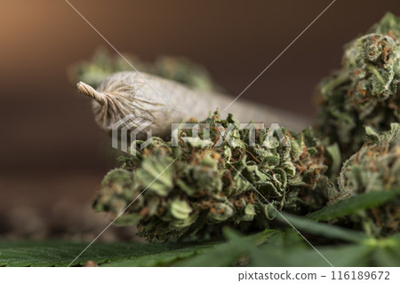 Blunt, Cbd, Marijuana bud with cannabis Blunt, Cbd, Marijuana bud with cannabis 116189672
