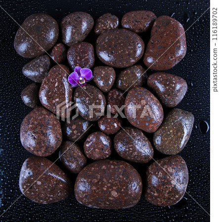 Spa stones and purple flowers, orchid 116189702