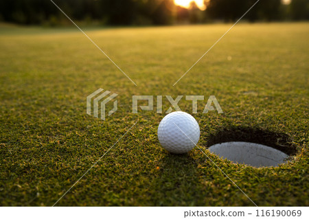 Closeup Golf ball on green grass on course, Sport and lifestyle 116190069