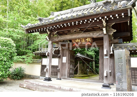 橫濱市都築區正覺寺的三門與新綠 116190208