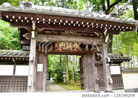 橫濱市都築區正覺寺的三門與新綠 116190209