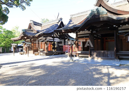 A view of the Fourth and Third Main Shrines in the grounds of Sumiyoshi Taisha Shrine in Osaka City 116190257