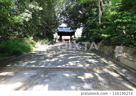 The entrance gate of Oumi Shrine, a sub-shrine within the grounds of Sumiyoshi Taisha Shrine in Osaka City 116190258