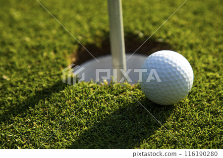 Closeup Golf ball on green grass on course Closeup Golf ball on green grass on course 116190280