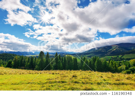 alpine meadow on a sunny morning. mountainous countryside landscape of ukraine in early autumn. wonderful sunny weather. rural valley in the distance alpine meadow on a sunny morning. mountainous countryside landscape of ukraine in early autumn. wonderful sunny weather. rural valley in the distance 116190348