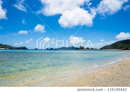 沖繩縣慶良間群島座間味島海間海灘 116190482