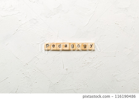 Pedagogy word written on wood block. Pedagogy text on cement table for your desing, concept 116190486