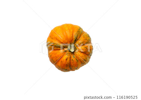 Pumpkin isolated on white background top view. Halloween concept 116190525
