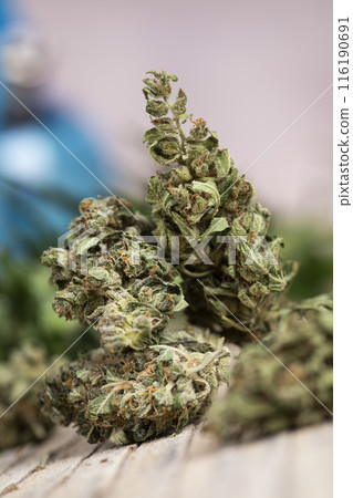 Marijuana, cbd concept, cannabis bud and weed 116190691