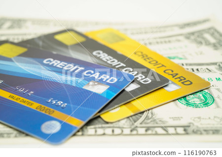 Credit card model on US dollar banknotes, finance and business. Credit card model on US dollar banknotes, finance and business. 116190763