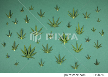Flat lay composition, cbd, Cannabis leaves with marijuana 116190780