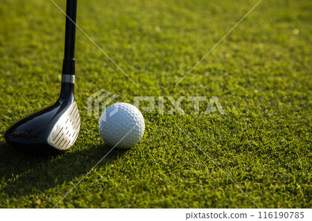 Closeup Golf ball on green grass on course, Sport and lifestyle 116190785
