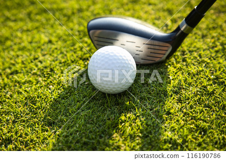Sport and lifestyle, golf player playing in a golf club Sport and lifestyle, golf player playing in a golf club 116190786