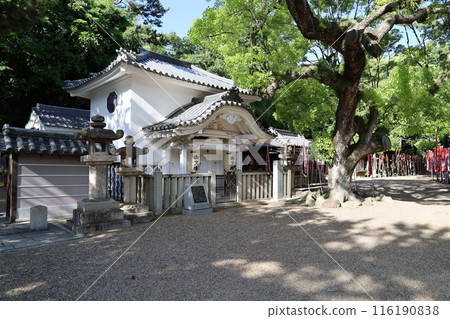 A view of the library in the grounds of Sumiyoshi Taisha Shrine in Osaka City 116190838