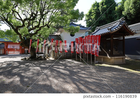 A view of the library in the grounds of Sumiyoshi Taisha Shrine in Osaka City 116190839