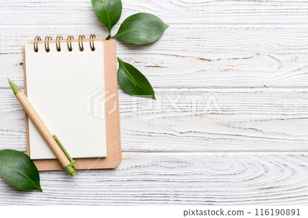eco-friendly Empty notebook with pen and green leaf on Colored background for note eco-friendly Empty notebook with pen and green leaf on Colored background for note 116190891