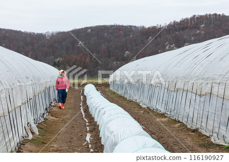 A female female worker 116190927