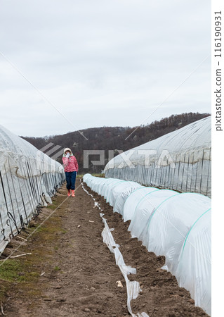 一名女性女工 116190931