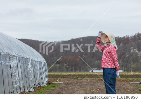 A female female worker 116190950