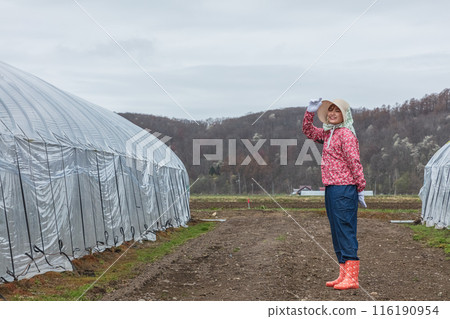 A female female worker 116190954