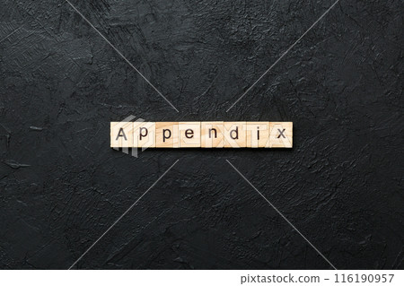 appendix word written on wood block. appendix text on table, concept appendix word written on wood block. appendix text on table, concept 116190957