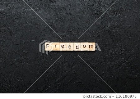 Freedom word written on wood block. Freedom text on cement table for your desing, Top view concept Freedom word written on wood block. Freedom text on cement table for your desing, Top view concept 116190973