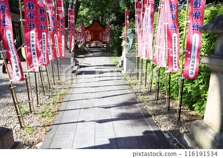 A view of the entrance to the Tanekarisha Shrine, a sub-shrine within the grounds of Sumiyoshi Taisha Shrine in Osaka City 116191534