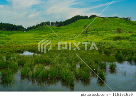Tonomine Plateau in early summer Tonomine Plateau in early summer 116191659