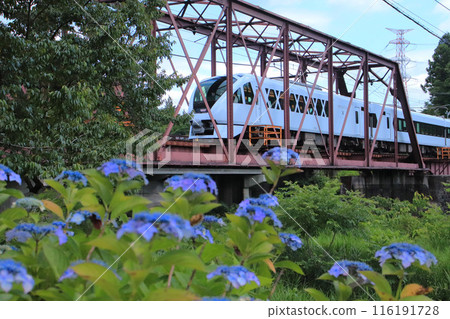 初夏繡球花盛開時，Spacia X沿著鬼怒川線行駛 116191728