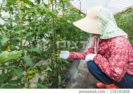 做農活的女人 做農活的女人 116191806