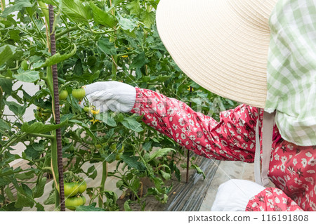 做農活的女人 做農活的女人 116191808