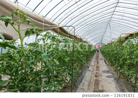 woman doing farm work 116191831