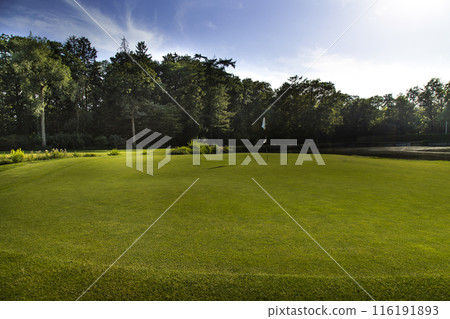 Golf course in green field 116191893