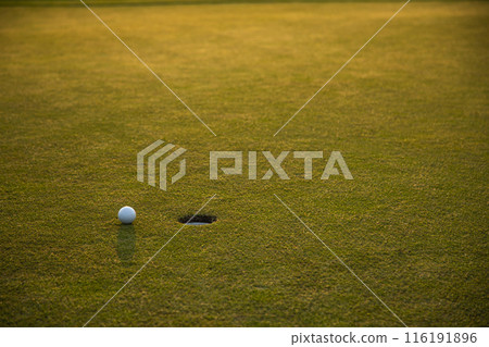 Closeup Golf ball on green grass on course Closeup Golf ball on green grass on course 116191896