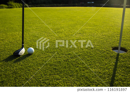 Closeup Golf ball on green grass on course, Sport and lifestyle 116191897