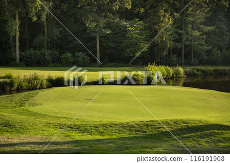 Golf course in green field Golf course in green field 116191908