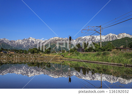 Spring Northern Alps reflected in rice paddies 116192032