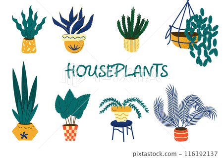 set of house plants isolated on a white background 116192137